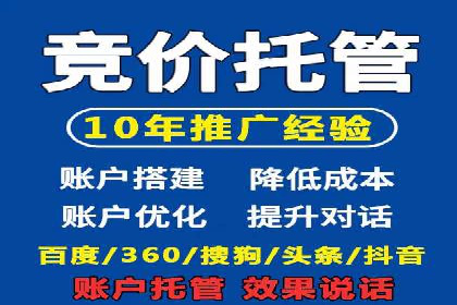 推广竞价策略优化：借鉴成功案例实现高效转化